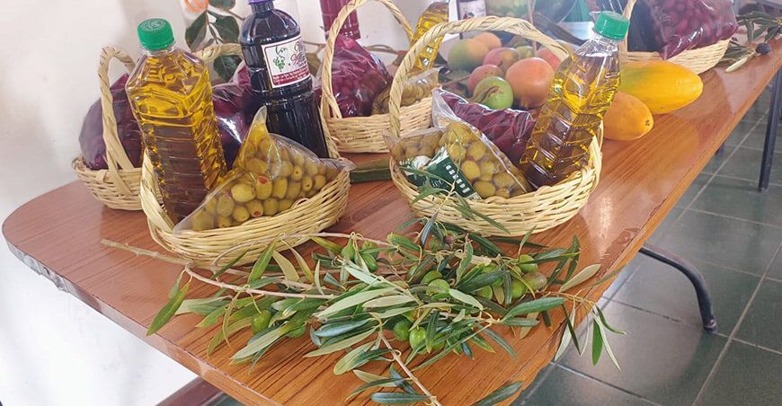 producción de aceitunas y productos derivados Tacna Perú