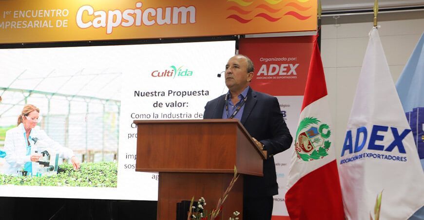 producción exportación de capsicum pimientos Perú ADEX