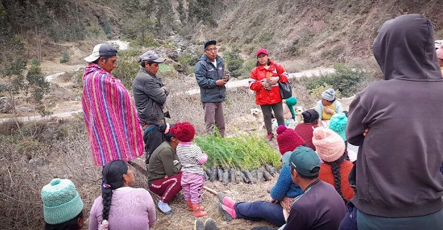 Instalación de plantones forestales recuperar áreas degradadas en Junín Agro Rural Perú 