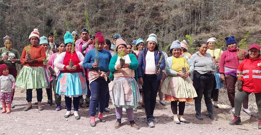 Instalación de plantones forestales recuperar áreas degradadas en Junín Agro Rural Perú