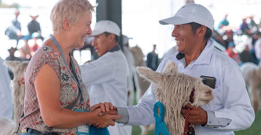 Alpaca Fiesta Perú