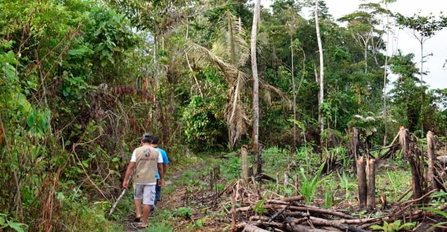 Aprueban Estrategia Nacional de Prevención y Reducción de Delitos Ambientales Perú