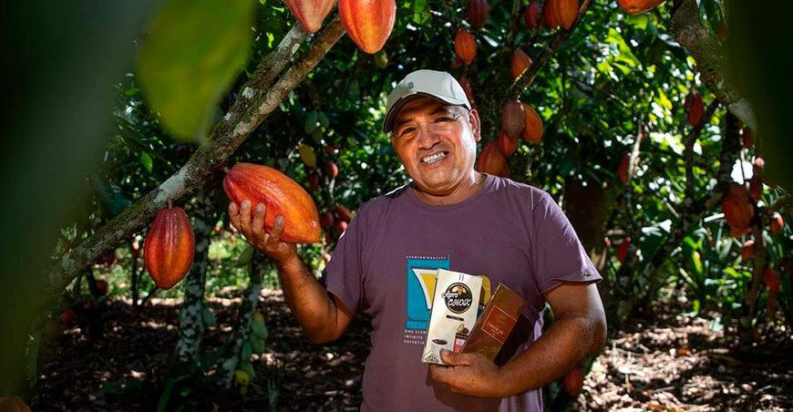 Cacaoteros del Vraem ganaron seis medallas en los International Chocolate Awards 2024