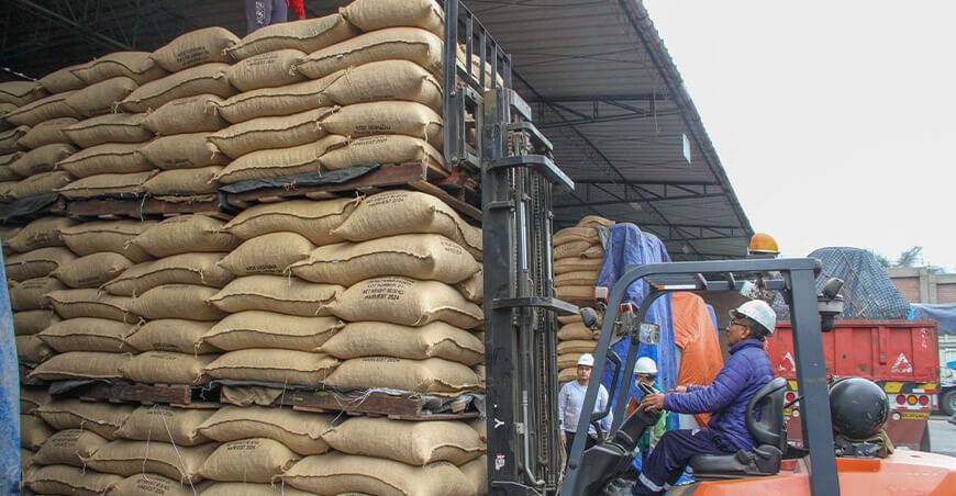 Cooperativa Caecam de Ucayali exportó cacao a Europa