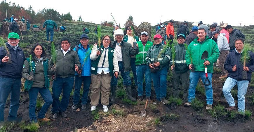 Serfor y Comunidad Campesina Sexemayo reforestan 8 hectáreas afectadas por incendio forestal Cajamarca Perú