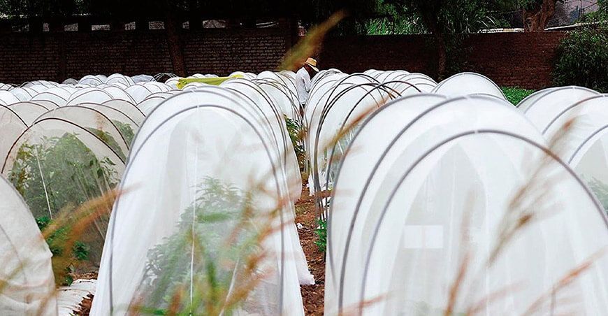 Capital semillas StartUp Perú forestal