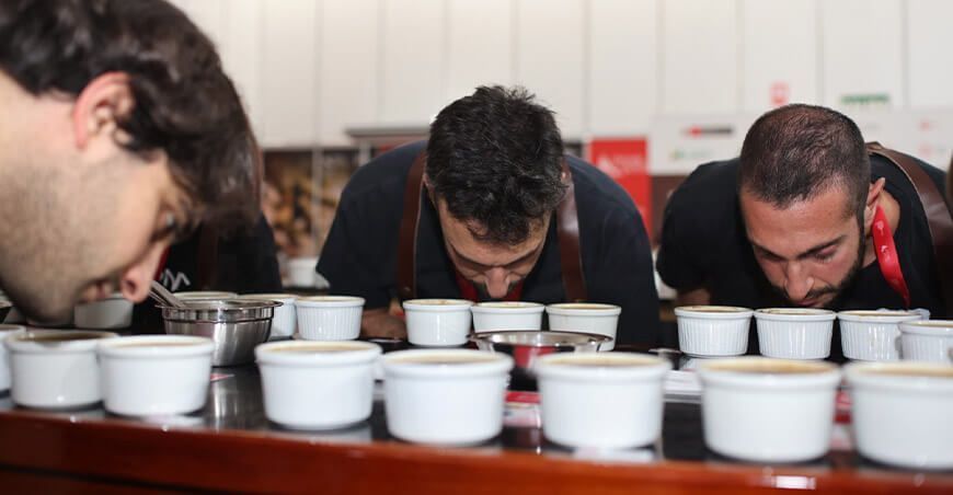 Catas de cafés especiales captan el interés de compradores internacionales