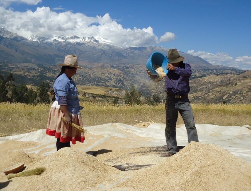 CEDEP producción agraria productores qochas Ancash Perú 