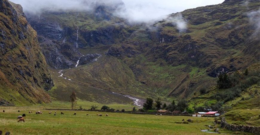 Minam recuperará ecosistemas degradados en el corredor Andes-Amazónico del norte peruano