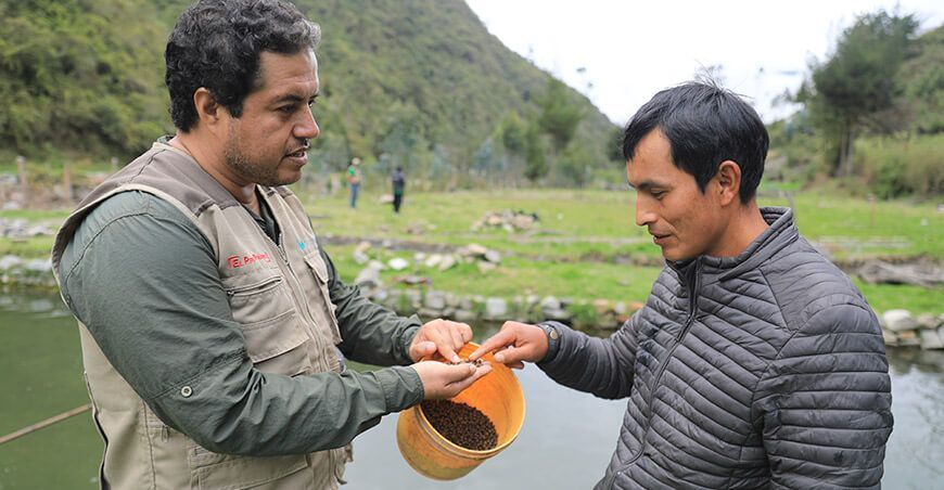 Devida Perú entregó 153 toneladas de alimento para fortalecer la piscicultura en Ayacucho y Junín