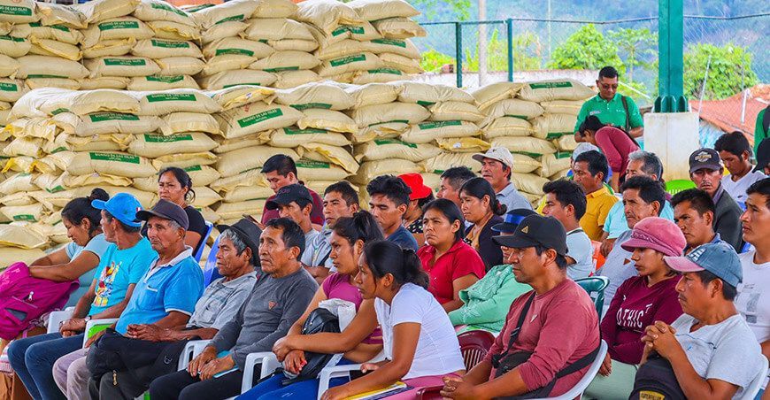 Devida entregó 3000 sacos de guano de isla para potenciar la producción de café Junín Perú