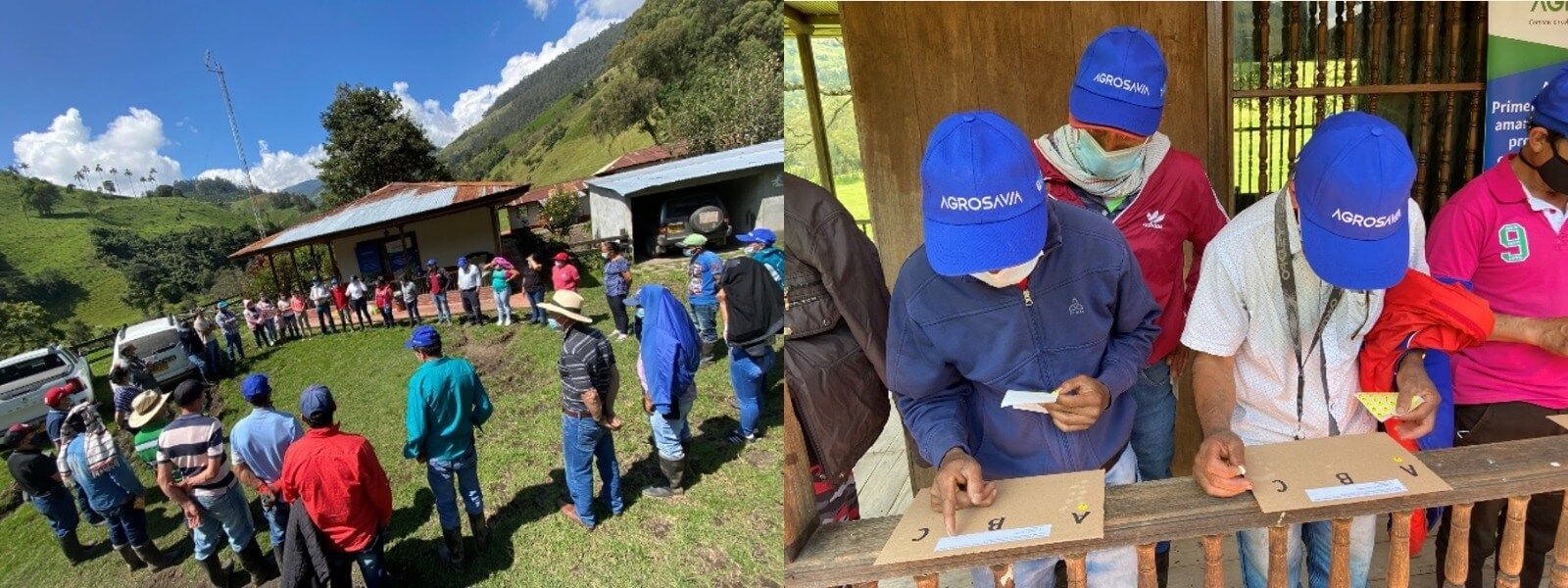 Figura 4. Implementación de ECAs y prueba de caja en Cajamarca, Tolima – Colombia. Fotos: Diego Navarro