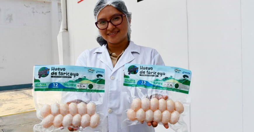 Emprendedores indígenas ofertarán más de 100 productos libres de deforestación Perú
