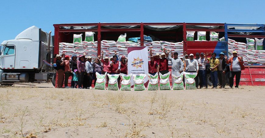 Productores recibieron 33 toneladas de alimentos para cerdos Arequipa Perú
