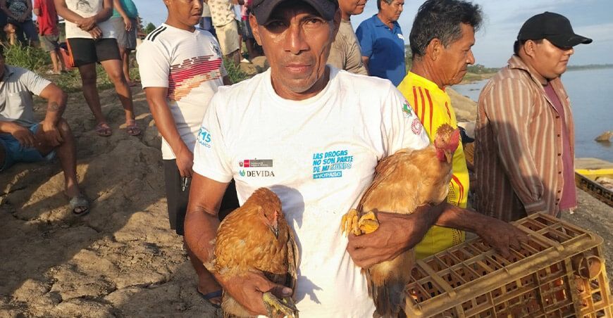 entregan aves domésticas a productores de Loreto