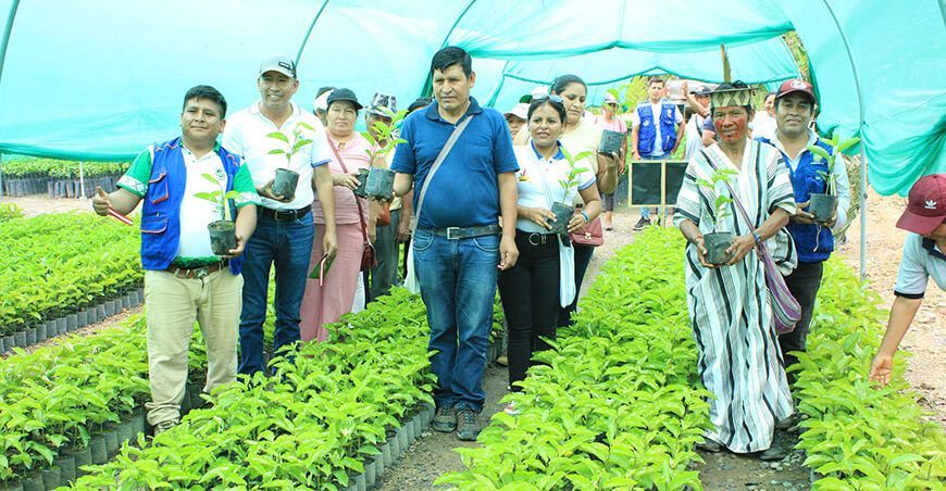 Entregan más de 54 000 plantones de maracuyá a productores de Pichari Cusco Perú