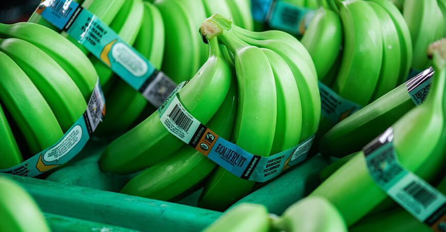 Perú exportación de banano peruano