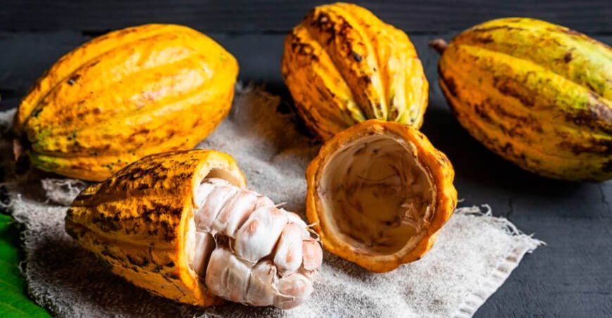 Perú exportación de cacao peruano