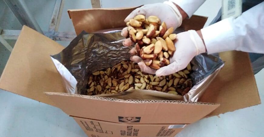 exportación de castaña peruana Perú