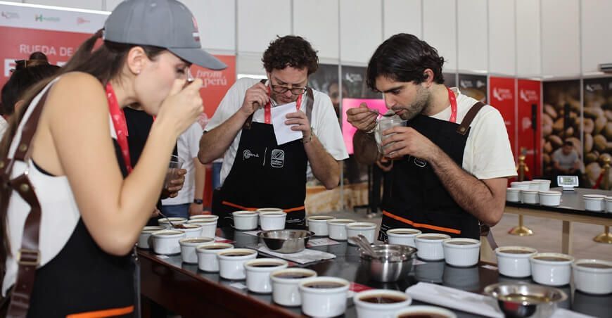 Perú Catas de cafés especiales captan el interés de compradores internacionales