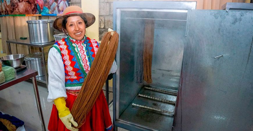 Presentarán “Hilamos Perú”: Primer salón nacional del hilo artesanal de camélidos