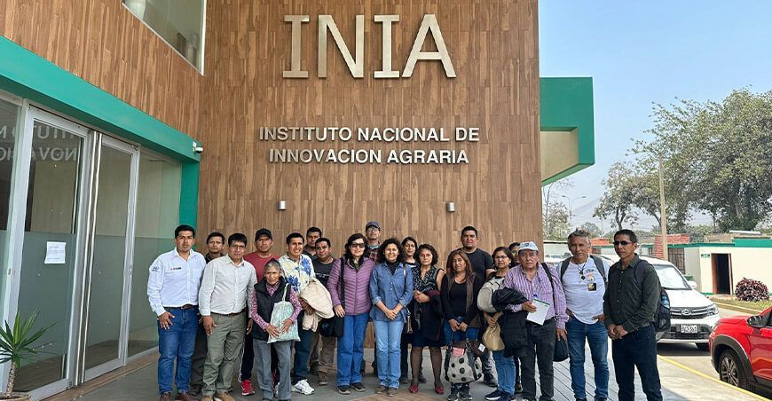 INIA transfirió tecnologías a productores para mejorar la calidad genética del cuy en Lima Perú