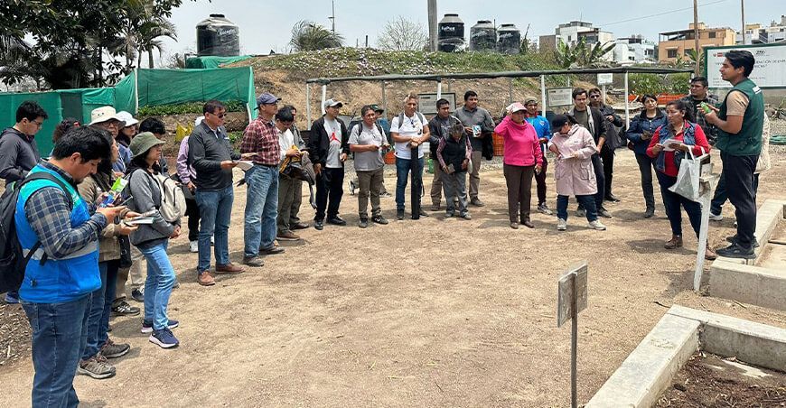 INIA transfirió tecnologías a productores para mejorar la calidad genética del cuy Lima Perú