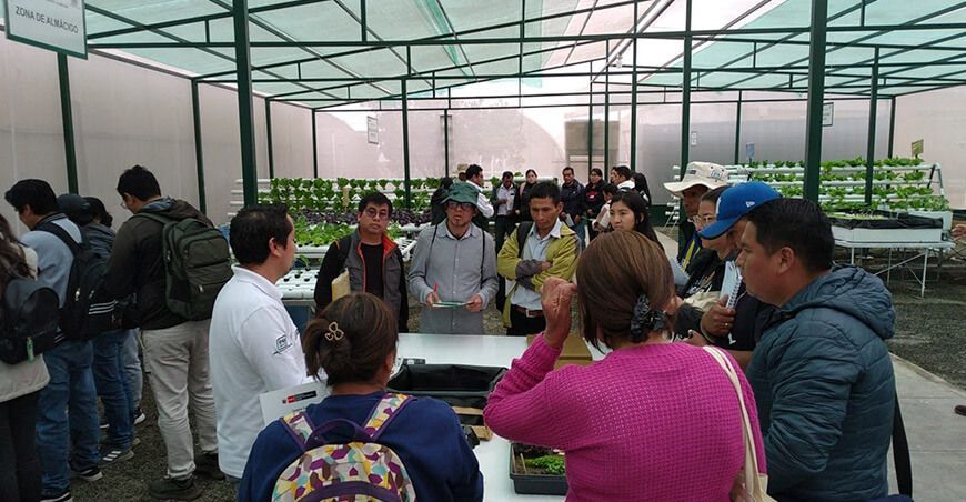 INIA capacitó a productores de 10 regiones en metodologías de agricultura hidropónica Perú