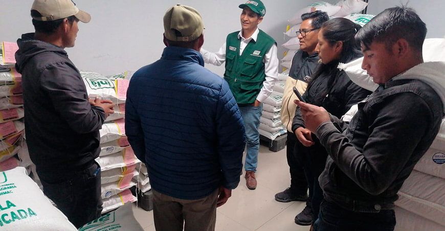 INIA dispone más de 6 TM de semillas de quinua y maíz amiláceo para productores de Apurímac