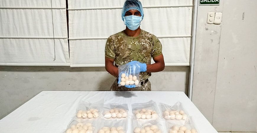 Jóvenes del Batallón de Selva Tacna N.° 27 Cabo Pantojaaprenden a dar valor agregado a frutas amazónicas y huevo de taricaya Loreto ITP Perú