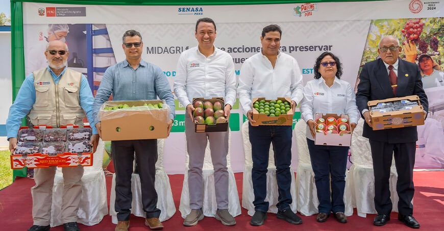 centro de producción de moscas de la fruta estériles Senasa Piura Perú