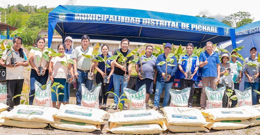 Entregaron 40 000 plantones de plátanos a productores de Pichari de Cusco Perú