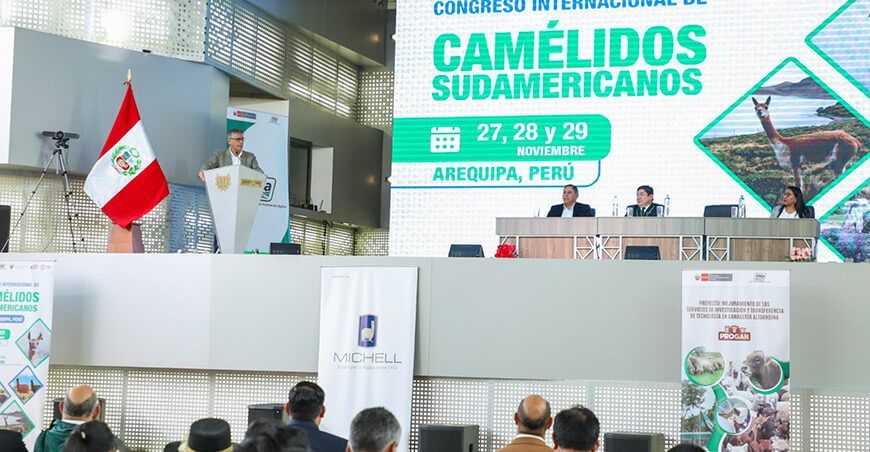 Primer Congreso Internacional de Camélidos Sudamericanos INIA Perú
