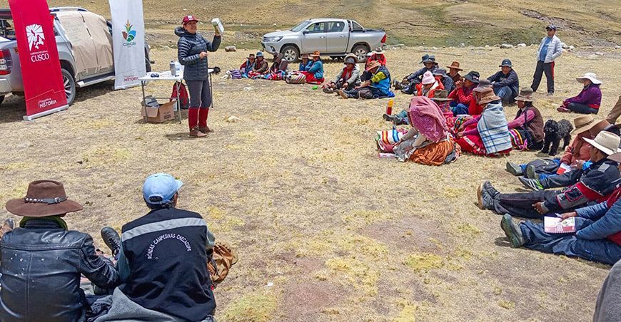Productores de Checacupe fortalecieron sus capacidades en sanidad animal