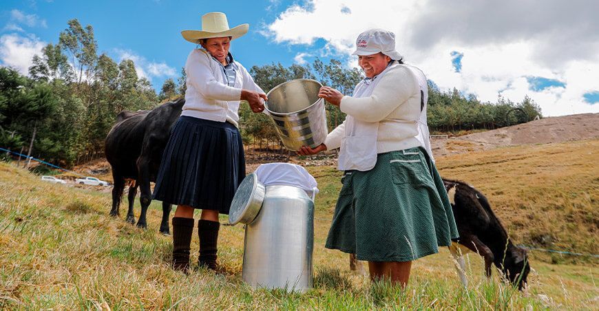 productoras de leche Perú