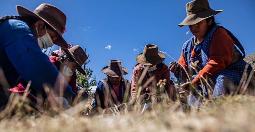 Ampliaron plazo para inscribirse en el Registro Nacional de Cooperativas Agrarias