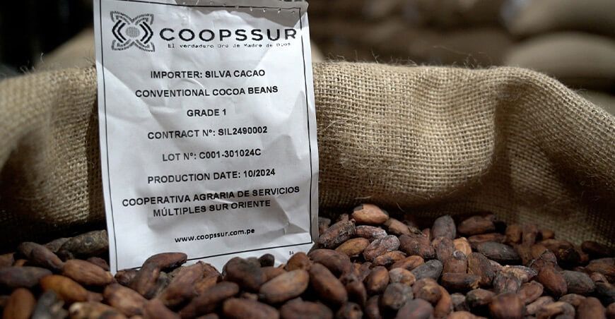 Productores de Madre de Dios exportan 25 toneladas de cacao a Europa