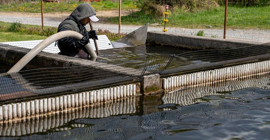 Empresas peruanas enfrentan la crisis de saneamiento al unirse a innovador programa de la Toilet Board Coalition Sunass Perú