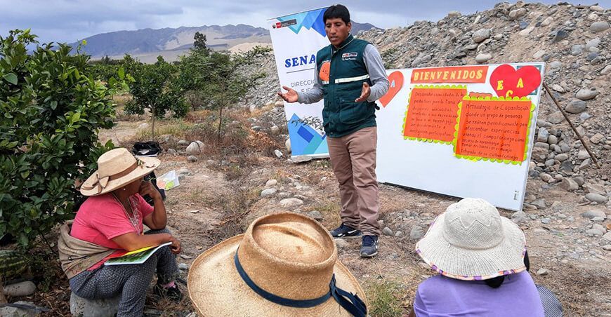 Senasa alimentos sanos e inocuos escuelas de campo Perú