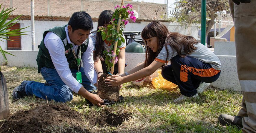 Serfor cerró Semana Forestal con actividades ambientales para escolares en Casma Áncash Perú
