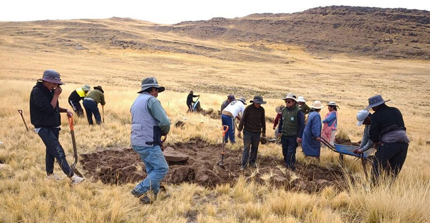 Microrreservorio impulsará conservación de vicuñas en Muñani Puno