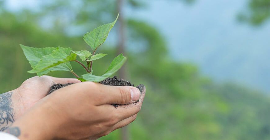 Día de la Aprobación del Acuerdo de París: Iniciativas para combatir el cambio climático