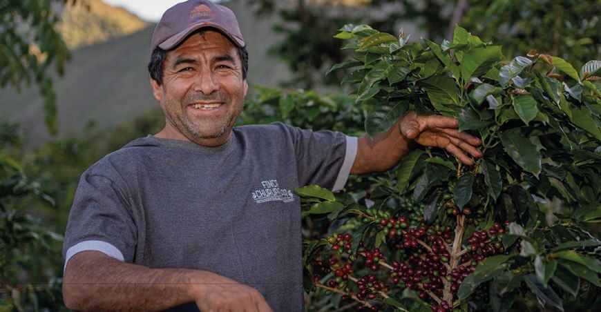 Finca Churupampa: Café sostenible de Cajamarca conquista mercados internacionales con innovación
