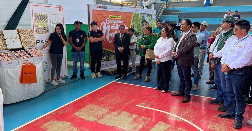 Áncash inicia campaña de exportación de mango peruano