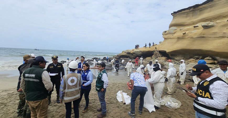 Serfor despliega brigadas para el rescate y rehabilitación de fauna silvestre que podría haberse afectada en Lobitos Piura Perú