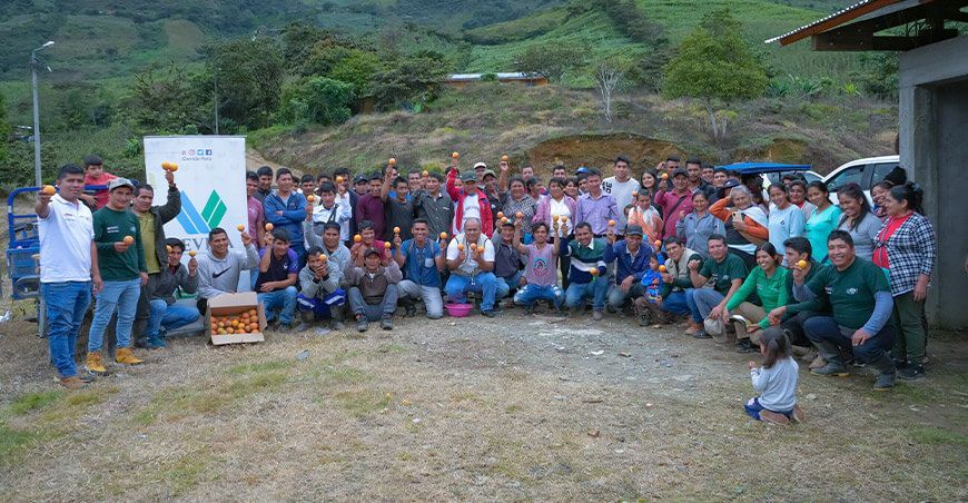 familias apuestan por el desarrollo alternativo con cultivo de granadilla en Chinchao Huánuco Devida Perú