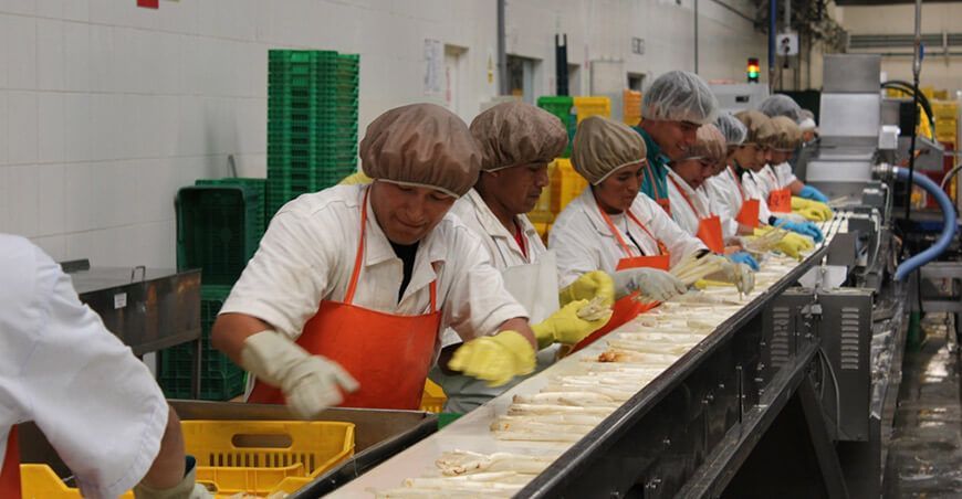Perú exportación espárragos peruanos