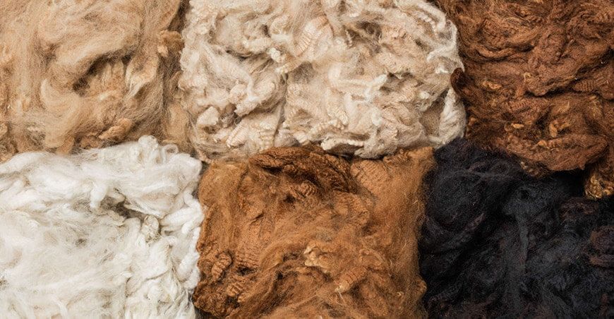 fibra de alpaca Perú
