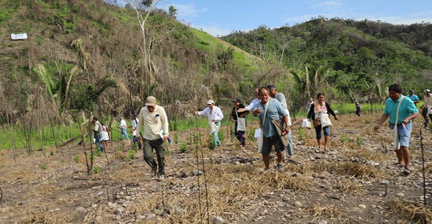IIAP inicia reforestación de áreas afectadas por incendios forestales bolitas reforestadoras San Martín Perú