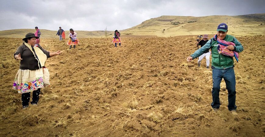 instalan pastos cultivados en Junín Agro Rural Perú